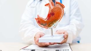 Mideniz neden kendi asidinden zarar görmüyor, öğrenince şaşıracaksınız