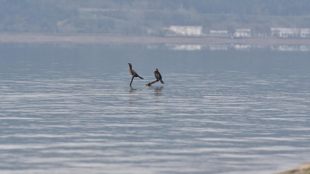 Sapanca Gölü'nde su seviyesi son yağışlarla 8 santimetre arttı