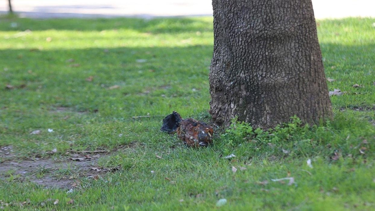 Çocuk parkında patlamamış mühimmat bulundu