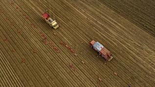 Tarım ÜFE Aralık 2025'te aylık yüzde 3,06, yıllık bazda yüzde 36,01 arttı