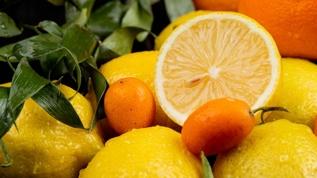 Yuzu nedir ve neden gastronomi dünyasının gözdesidir?