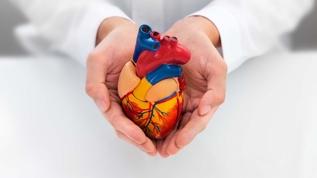 Kalp hakkında bilim insanlarını şaşırtan 8 gerçek