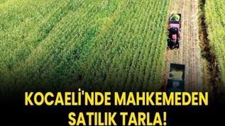 Kocaeli'nde mahkemeden satılık tarla!