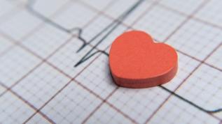 Kalp günde kaç kez atar, yaşam boyunca ne kadar çalışır?