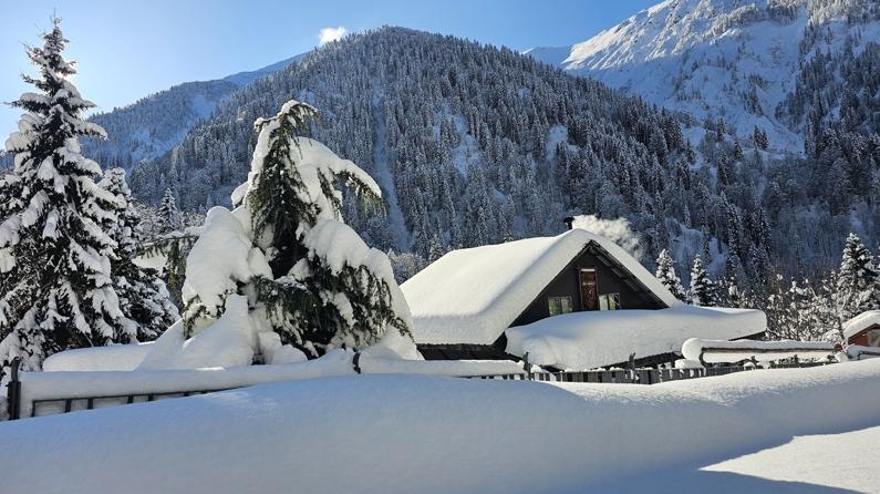 Kar yağışıyla Ayder Yaylası'nda muhteşem beyaz manzara!