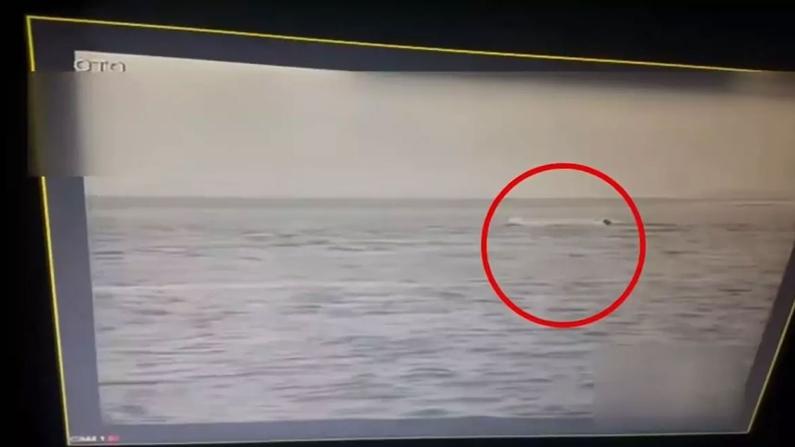 81 ilde operasyon: 19 göçmen kaçakçılığı organizatörü yakalandı