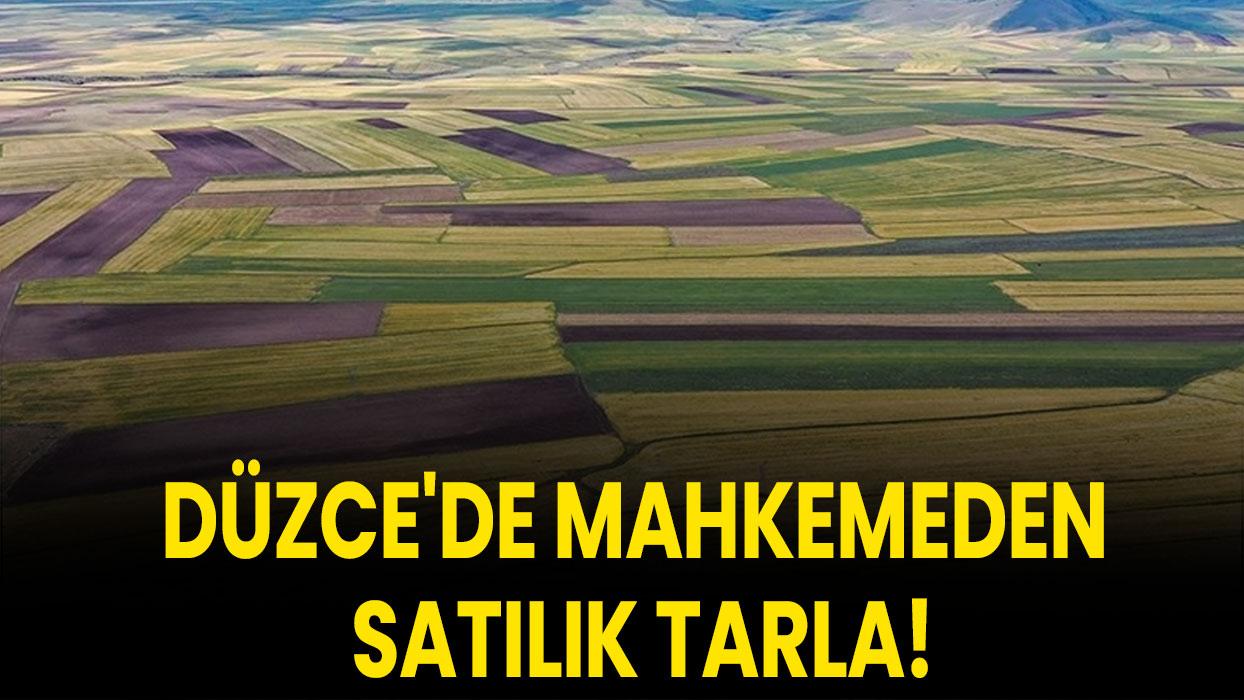 Düzce'de mahkemeden satılık tarla!