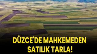 Düzce'de mahkemeden satılık tarla!