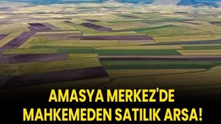 Amasya Merkez'de mahkemeden satılık arsa!