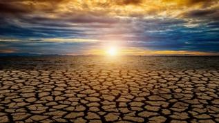 Küresel ısınma insan sağlığını nasıl etkiliyor?