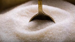 Bakterilerle düşük kalorili şeker üretiminde çığır açıldı