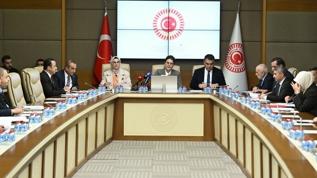 Epstein belgeleri sonrası Meclis harekete geçti: Çocukları hedef alan küresel ağlara karşı kritik rapor kabul edildi