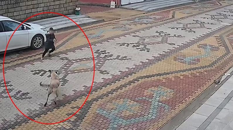 Mardin'de dehşet anları: Küçük çocuğu esnaf kurtardı