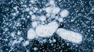 Beyin yiyen amiplerle ilgili son uyarı! Bu belirtilere dikkat!