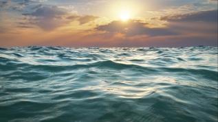 Okyanuslarda kritik keşif! SAR11 bakterileri tehlikede mi?