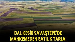 Balıkesir Savaştepe'de mahkemeden satılık tarla!