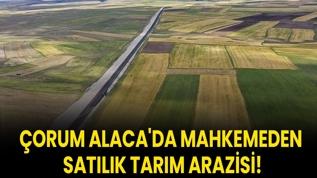 Çorum Alaca'da mahkemeden satılık tarım arazisi!