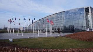 NATO'nun arctic planı! Grönland'da neler oluyor?