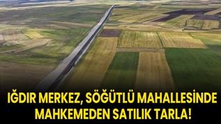 Iğdır Merkez, Söğütlü Mahallesinde mahkemeden satılık tarla!