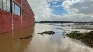 Uşak'ta sel felaketi: Tarım arazileri ve sanayi tesisleri su altında