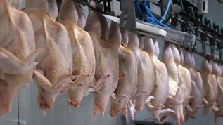 Bakanlıktan kanatlı eti ihracatının durdurulmasına ilişkin açıklama