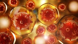 Bilim insanları kanser hücrelerini aç bırakmanın gizemli yolunu buldu