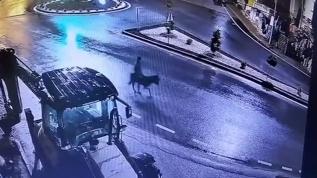 Kuyumcudan altın çalıp eşekle kaçmıştı! İfadesi ortaya çıktı