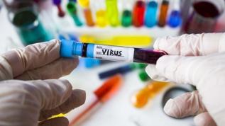 Aynı virüs herkesi neden farklı etkiliyor?