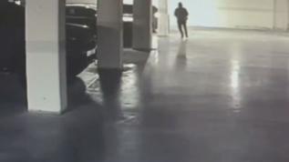 30 milyon dolarlık sır soygun! Ucu "Ekosistem"e çıktı 