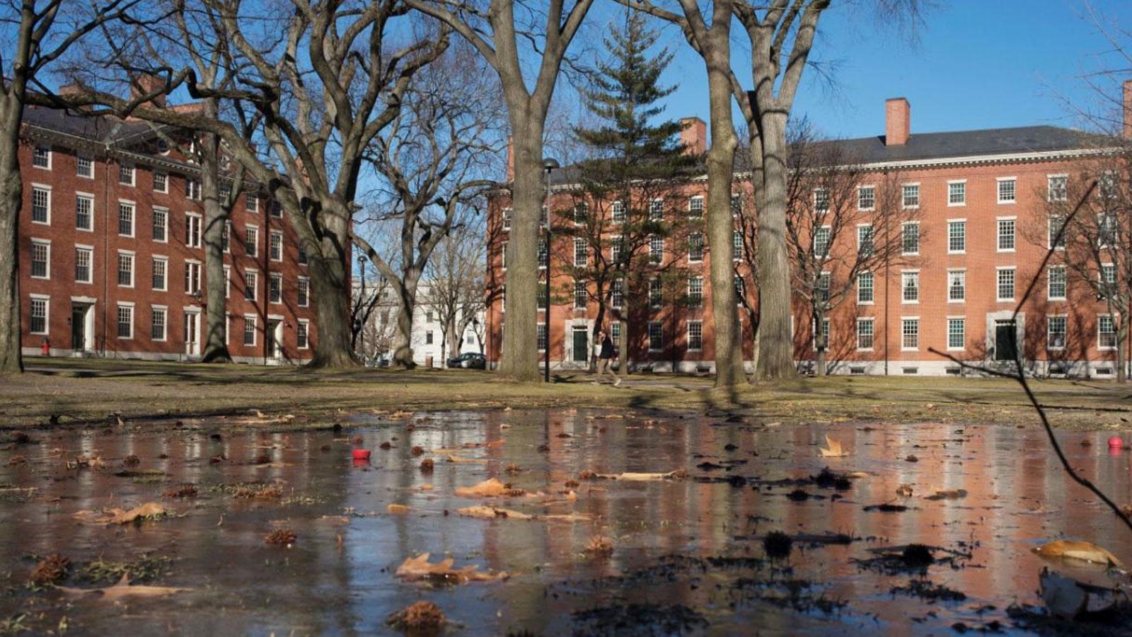Harvard Üniversitesi, ABD hükümeti ile karşı karşıya