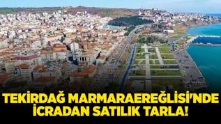 Tekirdağ Marmaraereğlisi'nde icradan satılık tarla!