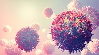 Dev virüsler canlılık sınırını zorluyor! Bilim dünyası şaşkın