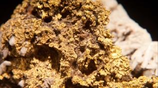 Güney Afrika'da altın söylentisi gecekondu mahallesinde büyük hareketlilik yarattı