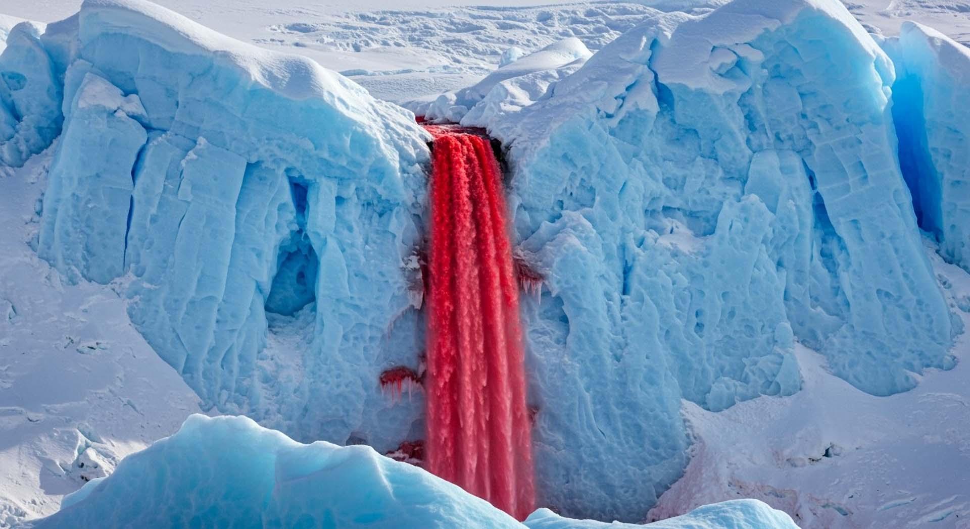 Antarktika'nın kan şelaleleri! Gizemli kırmızı akıntının ardındaki gerçek ortaya çıktı