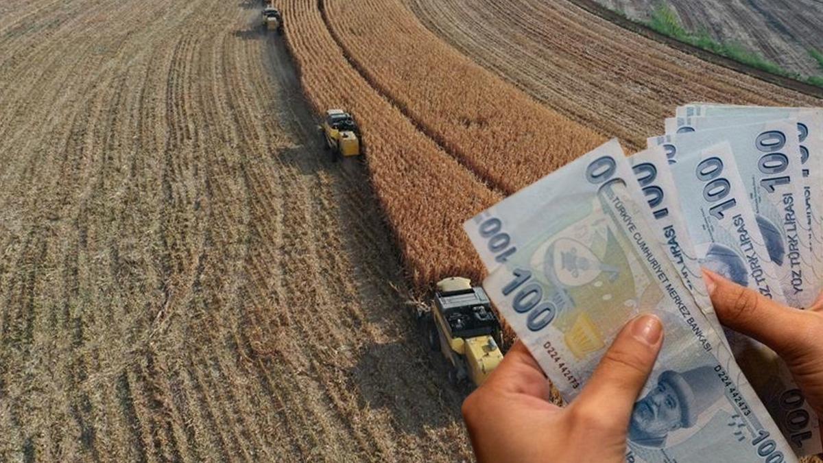 Çiftçilerin beklediği gün geldi! Destek ödemeleri bugün hesaplarda