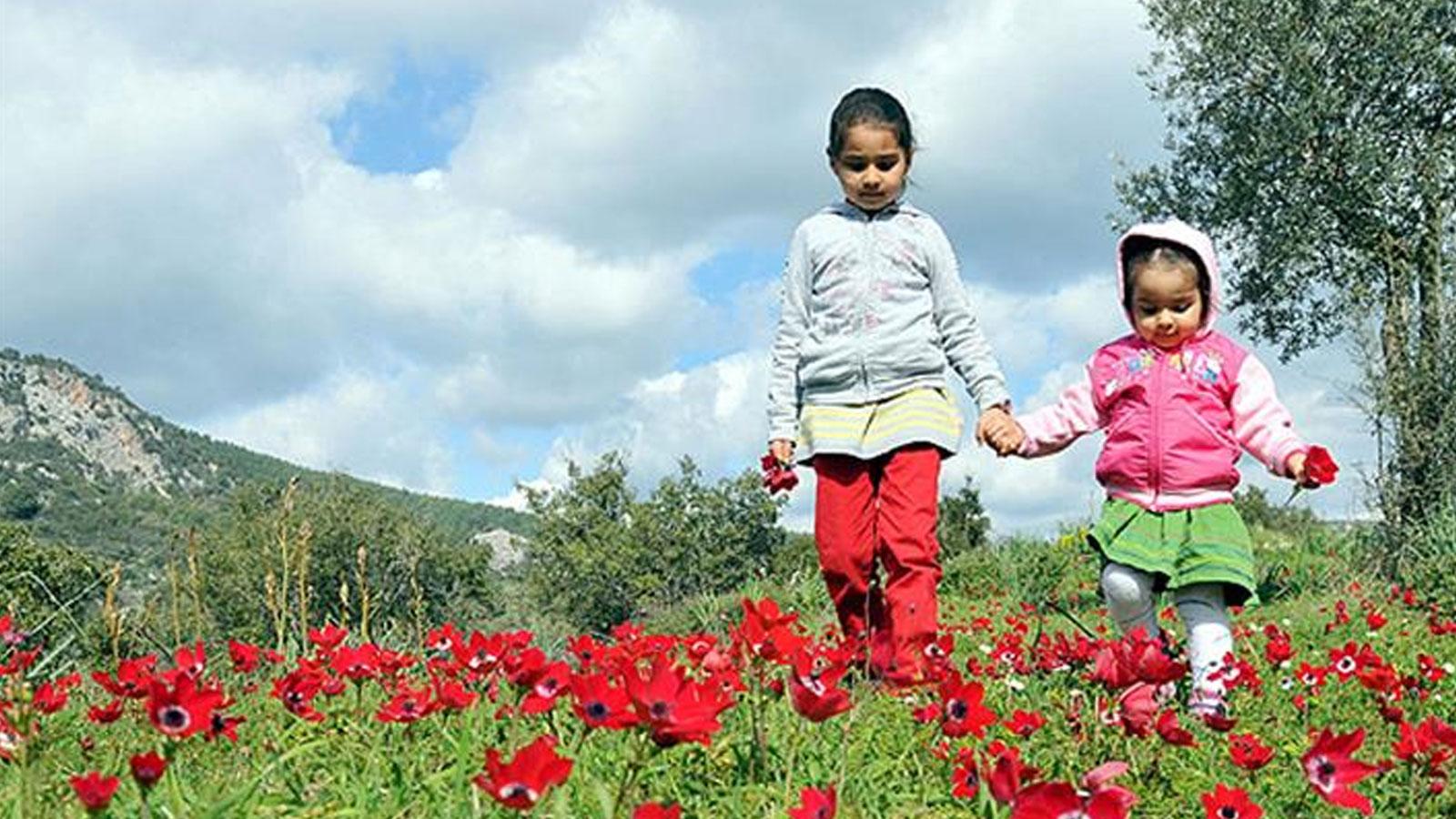 Cemre takviminde ikinci aşama: Anadolu'da bahar heyecanı