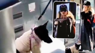 Köpek bahanesiyle başörtülü yolcuya nefret kustu!