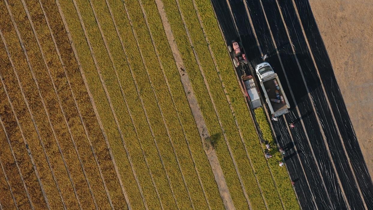 Hazine destekli kredilerde şartlar neler? Merak edilen 5 soru ve cevap