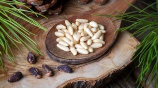 Çam fıstığı tüketimi sonrası çam sendromu tehlikesi! Uzmanlardan kritik uyarı