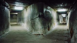 Dizilerdeki kıyamet sığınakları gerçeğe dönüşüyor! Milyarderler nükleer sığınak yarışında