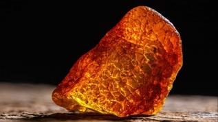 Kapı dayanağı olarak kullanılan dev amber ulusal hazine ilan edildi