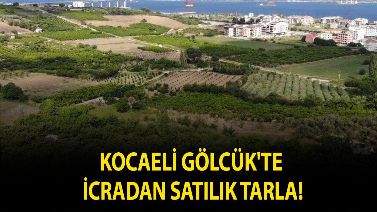 Kocaeli Gölcük'te icradan satılık tarla!