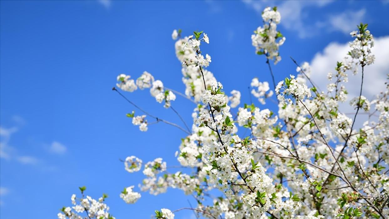 3. cemre toprağa düştü mü, ne zaman düşüyor? 2026 havalar ne zaman ısınacak?