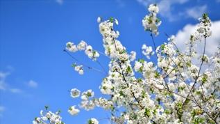 3. cemre toprağa düştü mü, ne zaman düşüyor? 2026 havalar ne zaman ısınacak?