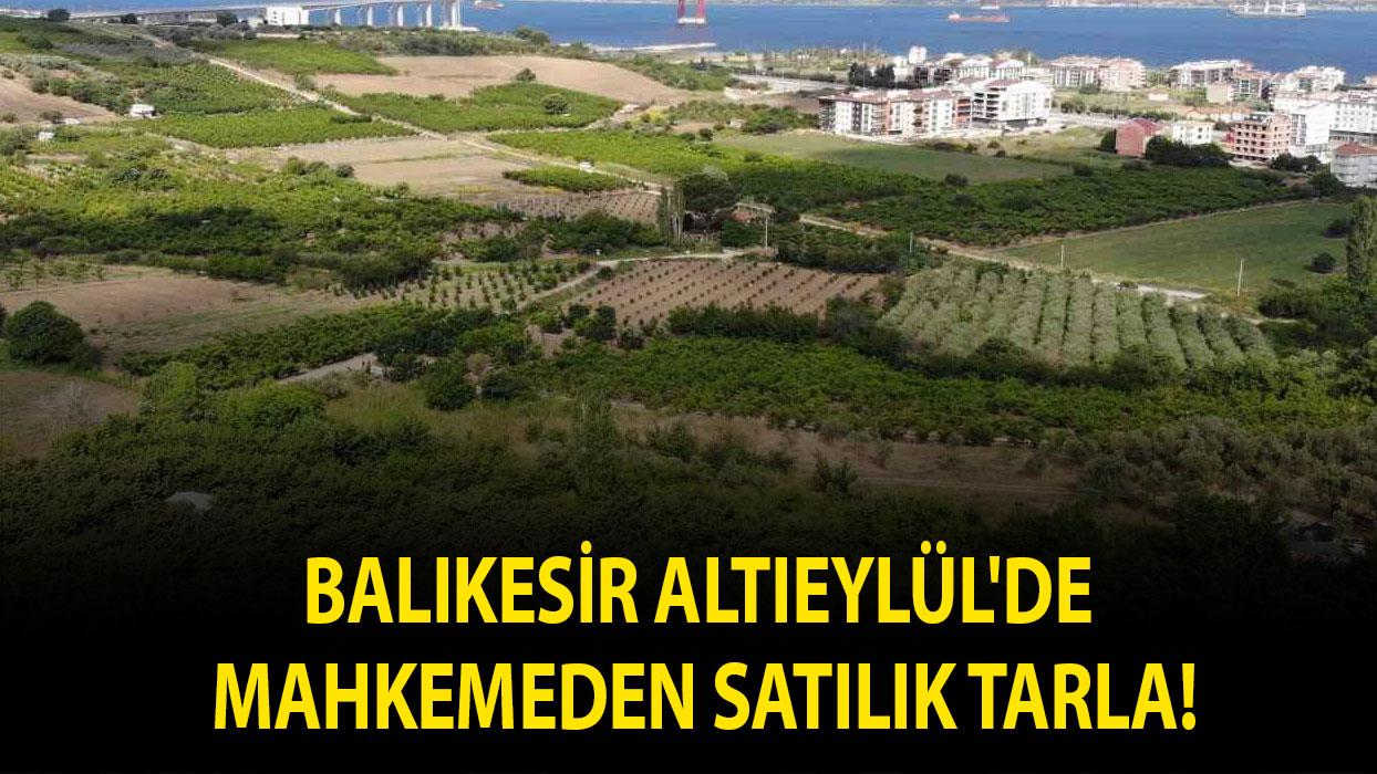 Balıkesir Altıeylül'de mahkemeden satılık tarla!