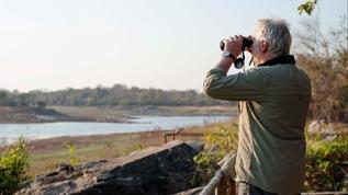 Kuş gözlemi yaşlılıkta zihni güçlendiriyor