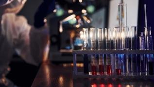 İklim değişikliğinin beklenmedik etkisi! Kan kimyasını değiştiriyor