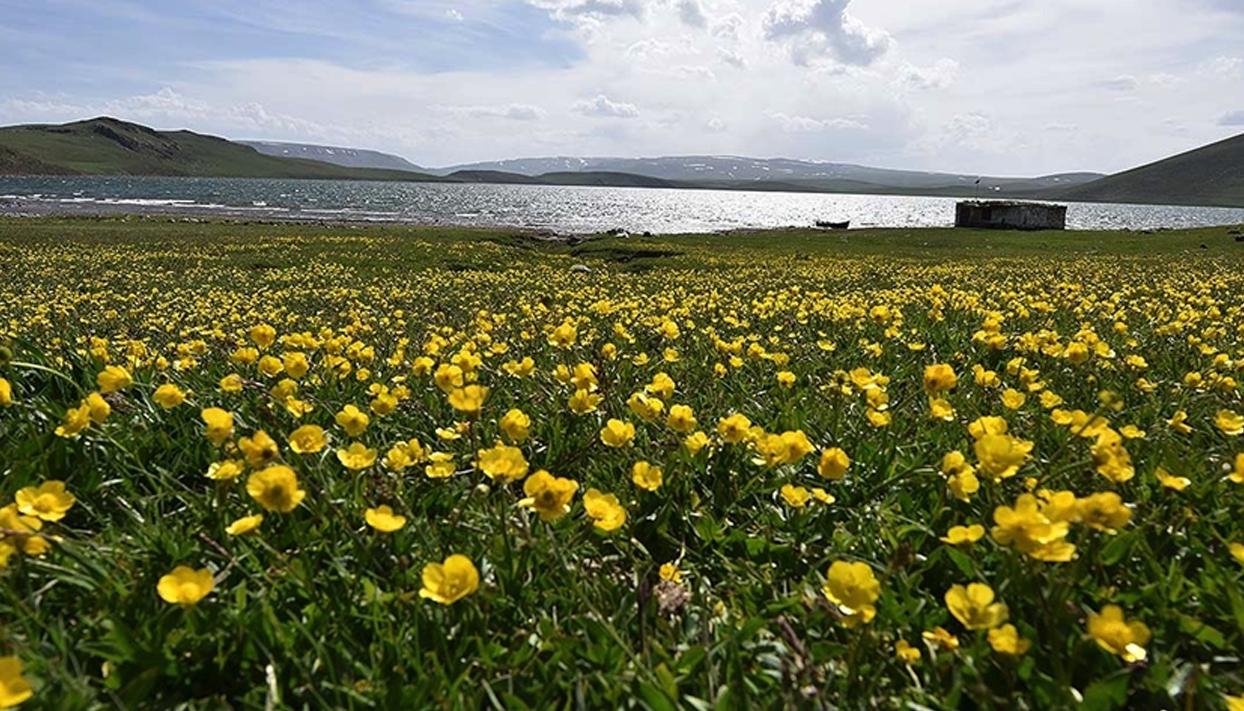 Nevruz'un habercisi son cemre toprağa düştü