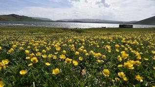 Nevruz'un habercisi son cemre toprağa düştü