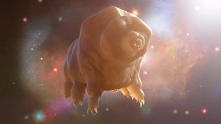 Bilim insanları Mars toprağını en dayanıklı canlıyla denedi! Sonuç şok edici